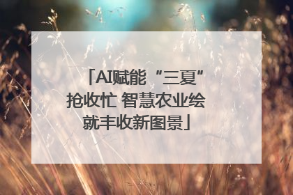 AI赋能“三夏”抢收忙 智慧农业绘就丰收新图景
